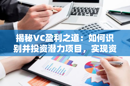 揭秘VC盈利之道：如何識別并投資潛力項目，實現資本增值？