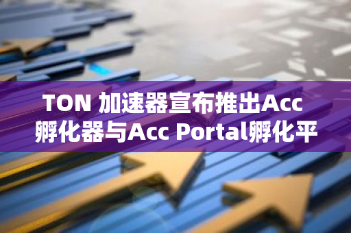 TON 加速器宣布推出Acc 孵化器與Acc Portal孵化平臺