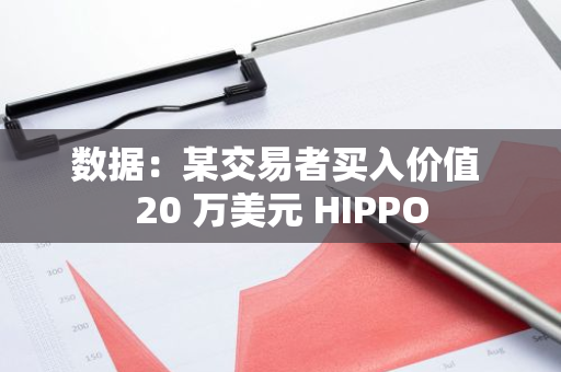 數據：某交易者買入價值 20 萬美元 HIPPO