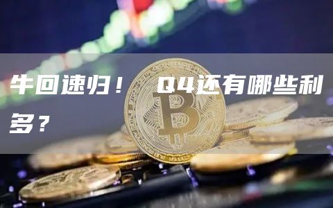 牛回速歸！ Q4還有哪些利多？