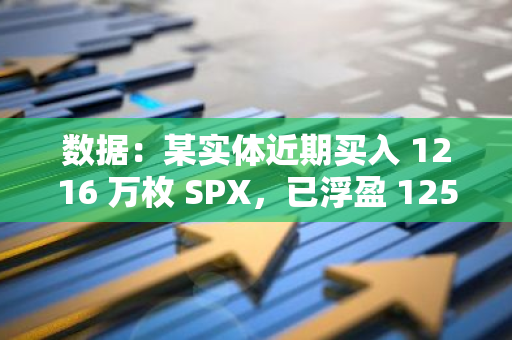 數據：某實體近期買入 1216 萬枚 SPX，已浮盈 125 萬美元
