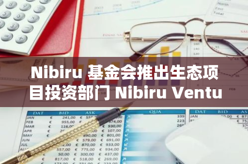 Nibiru 基金會推出生態項目投資部門 Nibiru Ventures