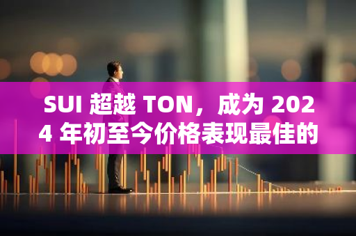 SUI 超越 TON，成為 2024 年初至今價格表現最佳的公鏈代幣