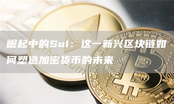 崛起中的Sui：這一新興區塊鏈如何塑造加密貨幣的未來