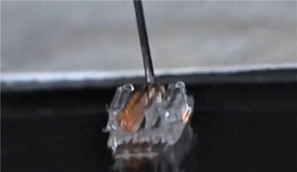 3D打印或能讓癱瘓者再次行走：已在動物身上驗證