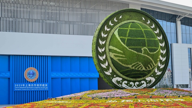 貿易額成倍增長！上合組織成員國經貿合作不斷升級：規模擴大，產供鏈合作深化