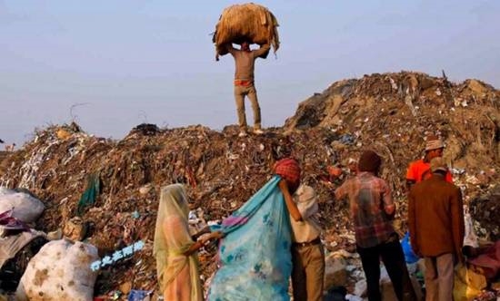 外國(guó)人在印度組隊(duì)上街撿垃圾 印網(wǎng)民怒：簡(jiǎn)直是恥辱