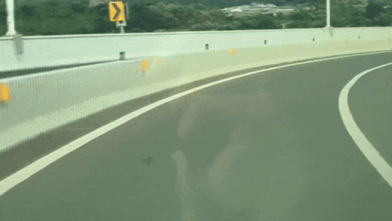 男子喜提新車第二天特意嘗鮮輔助駕駛 結果撞上高速護欄