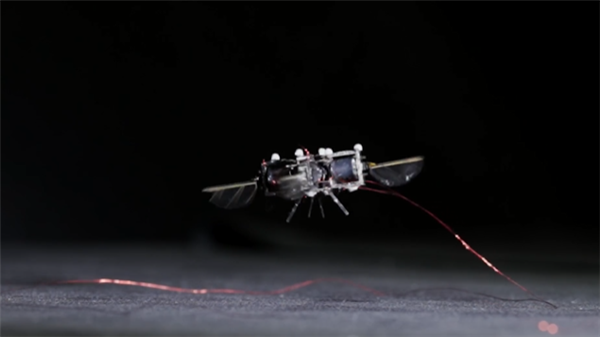 麻省理工正開發一種蜂形機器人：扇動翅膀高達400次/秒 最快速度達2米/秒