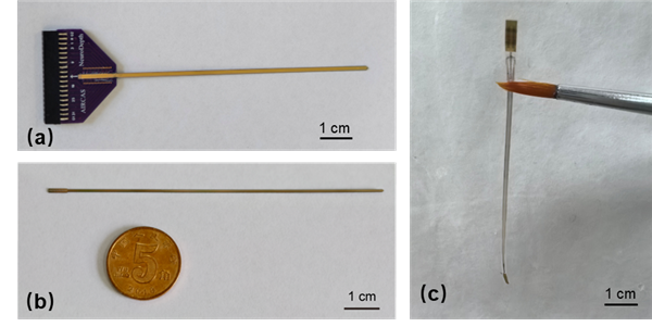 全球首次！頭發絲粗國產微電極 助腦深部腫瘤手術成功