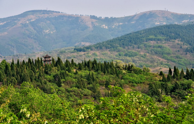 “認購碳匯”抵責存挑戰，專家建議嚴格規范適用范圍