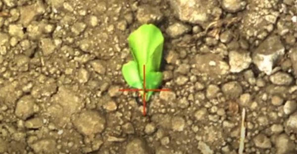 NVIDIA AI解決農業古老問題：搭配激光秒殺上萬棵雜草無壓力！