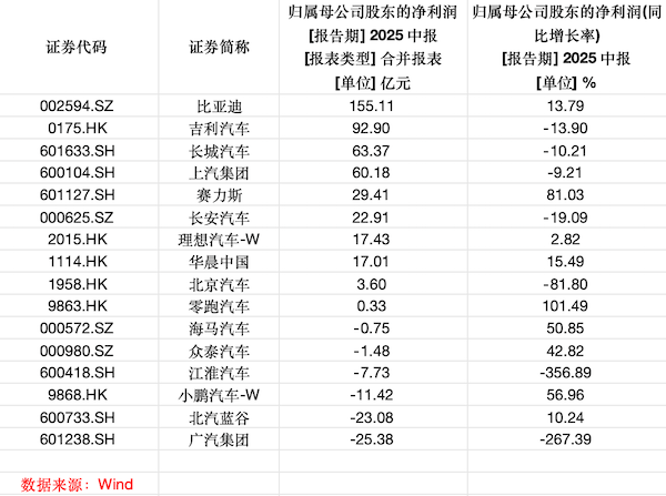 中國最賺錢的三家車企，加起來與一家電池廠相當