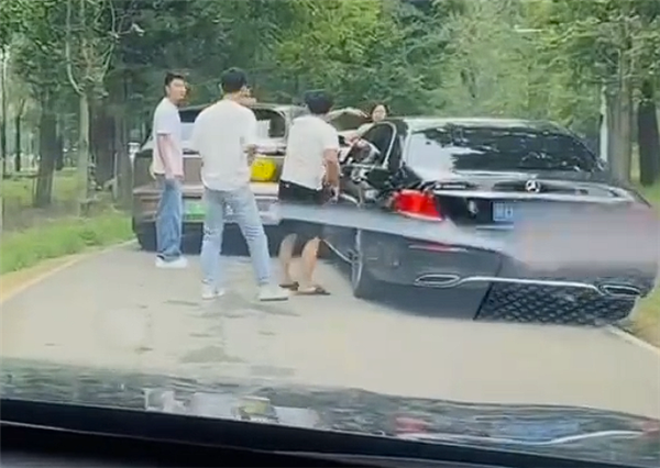 野生動物園里兩車剮蹭多人下車爭論：兩只白虎一旁強勢圍觀