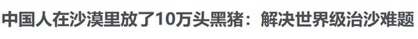 中國人靠著10萬頭黑豬 把沙壁整頓成了糧倉?