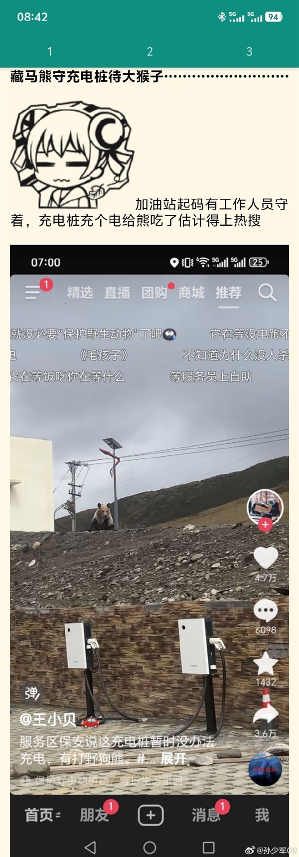 高速服務區充電樁被告知無法使用：因為有只狗熊一直守著