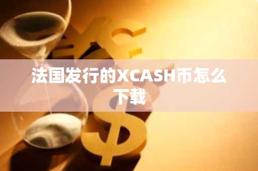 法國(guó)發(fā)行的XCASH幣怎么下載