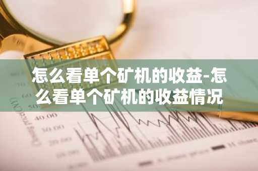 怎么看單個礦機的收益-怎么看單個礦機的收益情況