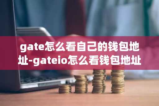 gate怎么看自己的錢包地址-gateio怎么看錢包地址