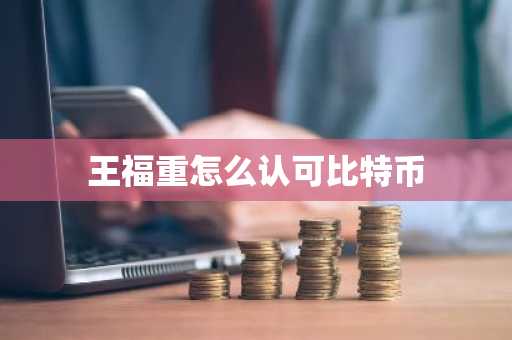 王福重怎么認可比特幣