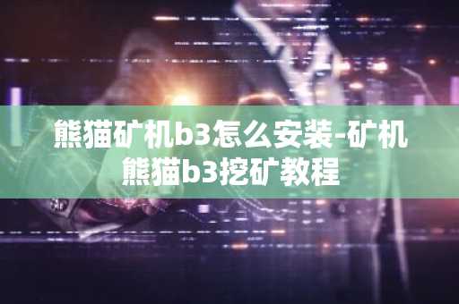 熊貓礦機b3怎么安裝-礦機熊貓b3挖礦教程