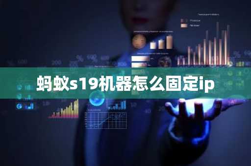 螞蟻s19機器怎么固定ip