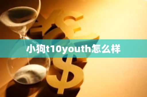 小狗t10youth怎么樣