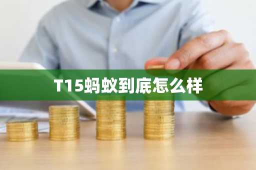 T15螞蟻到底怎么樣