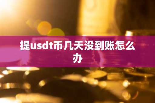 提usdt幣幾天沒到賬怎么辦