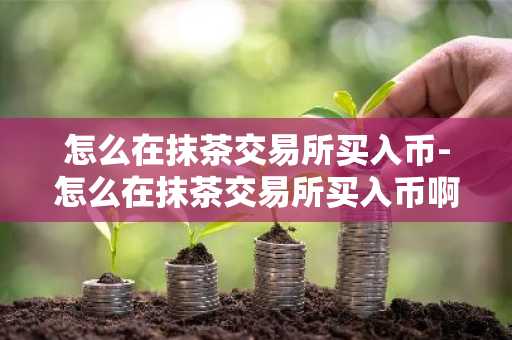 怎么在抹茶交易所買入幣-怎么在抹茶交易所買入幣啊