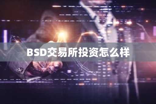 BSD交易所投資怎么樣