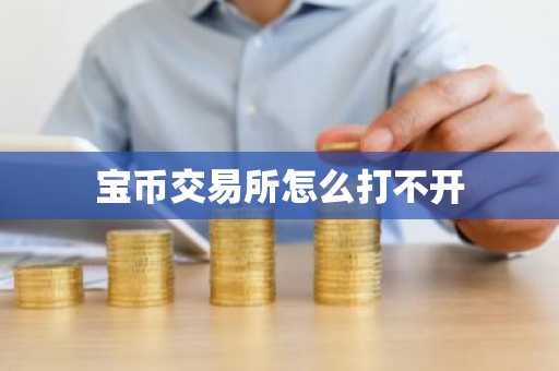 寶幣交易所怎么打不開(kāi)