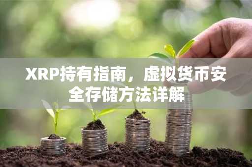 XRP持有指南，虛擬貨幣安全存儲方法詳解