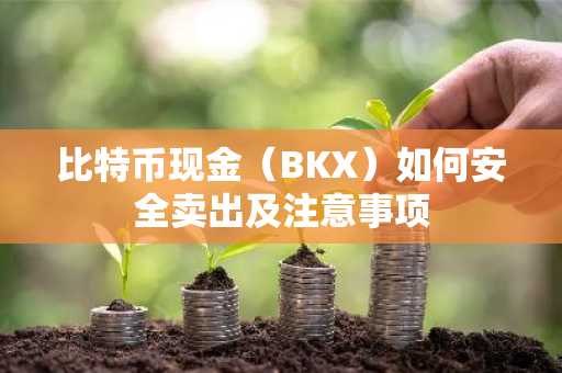 比特幣現金（BKX）如何安全賣出及注意事項
