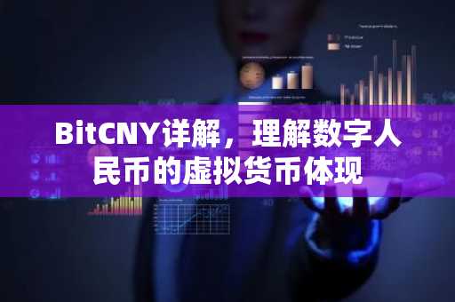 BitCNY詳解，理解數字人民幣的虛擬貨幣體現