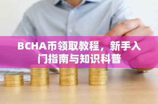 BCHA幣領取教程，新手入門指南與知識科普