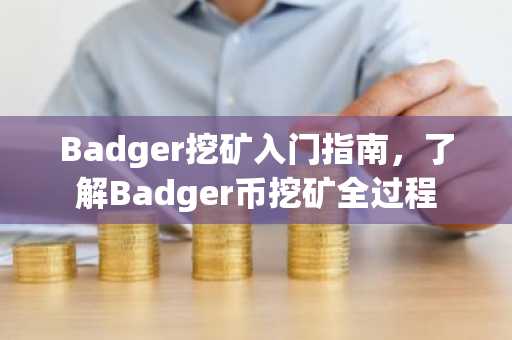 Badger挖礦入門指南，了解Badger幣挖礦全過程