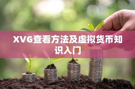 XVG查看方法及虛擬貨幣知識入門