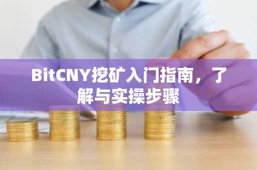 BitCNY挖礦入門指南，了解與實操步驟