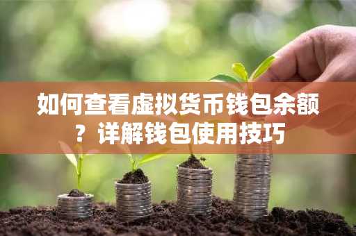 如何查看虛擬貨幣錢包余額？詳解錢包使用技巧